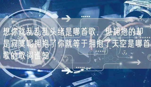 想你就乱乱乱头绪是哪首歌，想拥抱的却是寂寞呢拥抱了你就等于拥抱了天空是哪首歌的歌词谁知