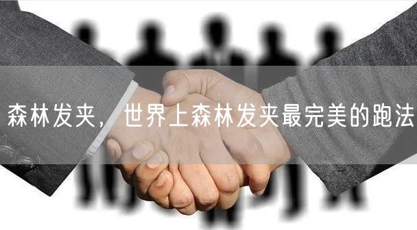 森林发夹,世界上森林发夹最完美的跑法