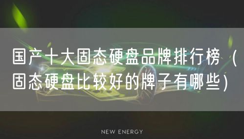 国产十大固态硬盘品牌排行榜（固态硬盘比较好的牌子有哪些）