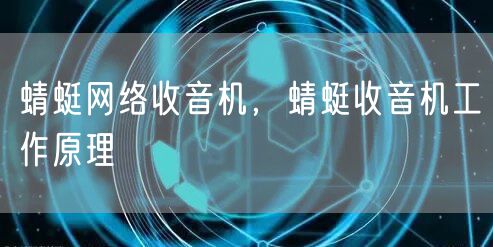 蜻蜓网络收音机，蜻蜓收音机工作原理