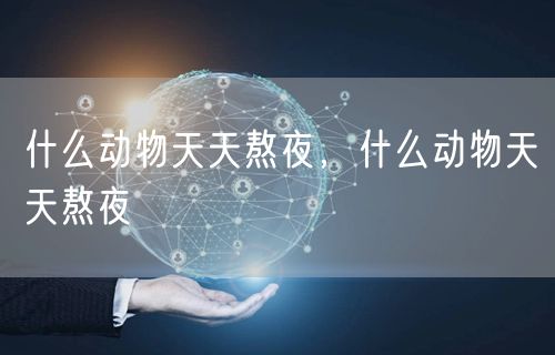 什么动物天天熬夜,什么动物天天熬夜