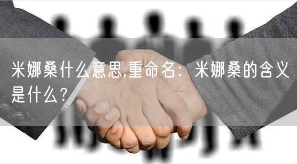 米娜桑什么意思,重命名：米娜桑的含义是什么？