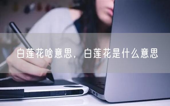 白莲花啥意思,白莲花是什么意思