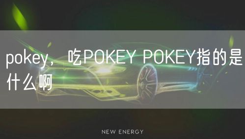 pokey，吃POKEY POKEY指的是什么啊