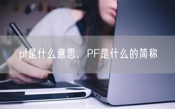 pf是什么意思,PF是什么的简称