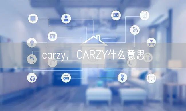 carzy,CARZY什么意思