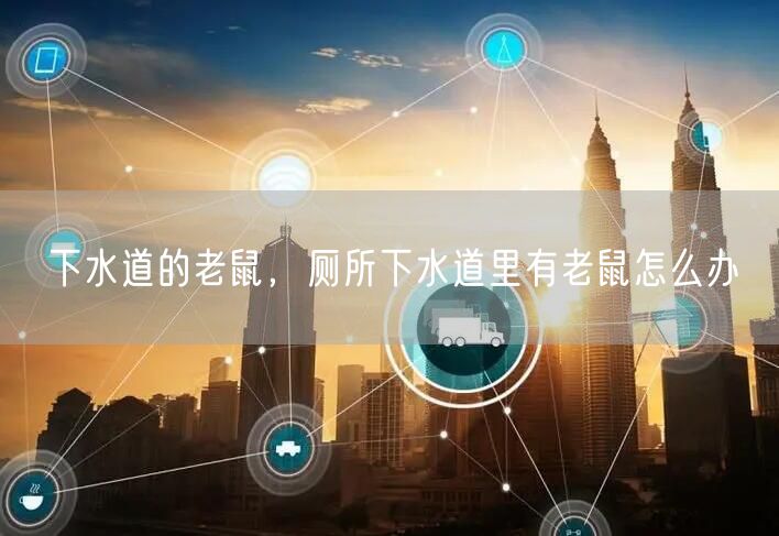 下水道的老鼠,厕所下水道里有老鼠怎么办
