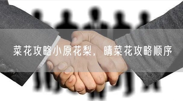 菜花攻略小原花梨,晴菜花攻略顺序