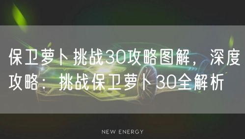 保卫萝卜挑战30攻略图解,深度攻略:挑战保卫萝卜30全解析