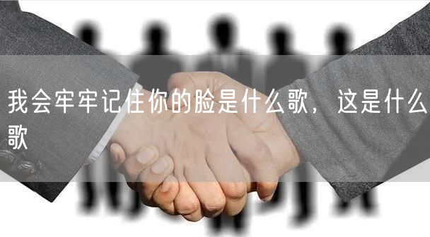 我会牢牢记住你的脸是什么歌，这是什么歌
