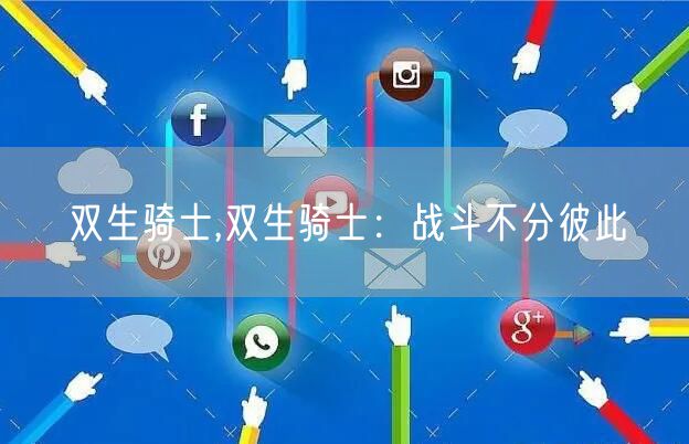 双生骑士,双生骑士：战斗不分彼此