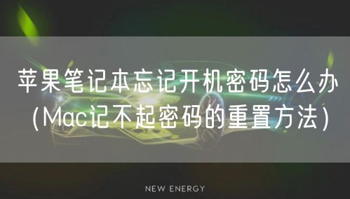 苹果笔记本忘记开机密码怎么办（Mac记不起密码的重置方法）