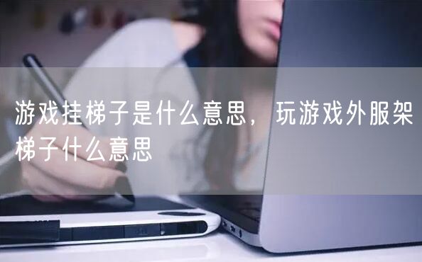 游戏挂梯子是什么意思,玩游戏外服架梯子什么意思