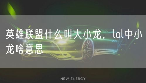 英雄联盟什么叫大小龙，lol中小龙啥意思