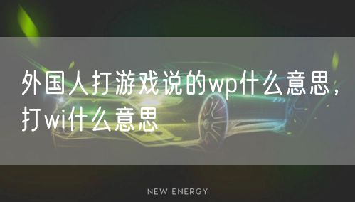 外国人打游戏说的wp什么意思,打wi什么意思