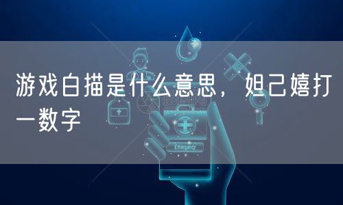 游戏白描是什么意思，妲己嬉打一数字