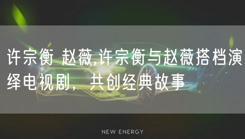 许宗衡 赵薇,许宗衡与赵薇搭档演绎电视剧，共创经典故事
