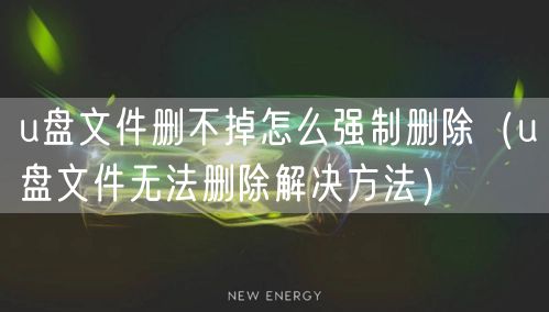 u盘文件删不掉怎么强制删除（u盘文件无法删除解决方法）