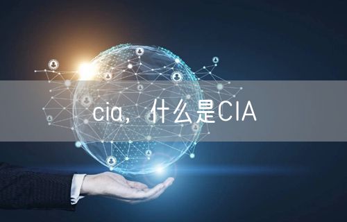cia,什么是CIA