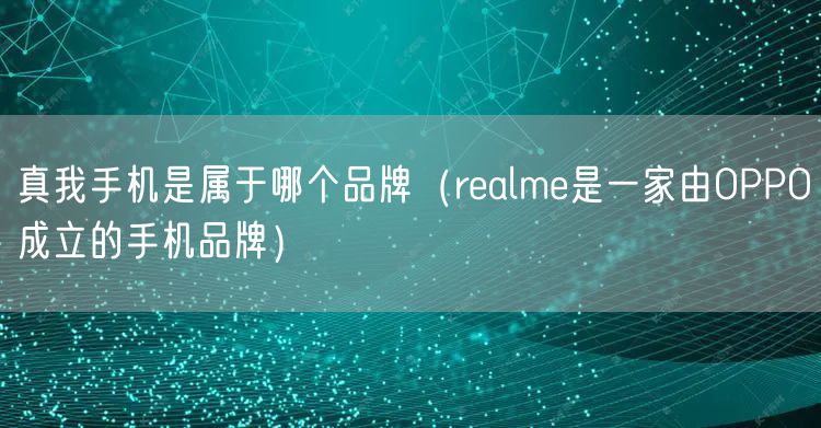 真我手机是属于哪个品牌(realme是一家由OPPO成立的手机品牌)