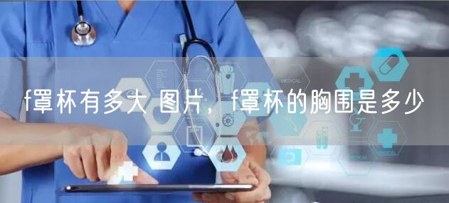 f罩杯有多大 图片,f罩杯的胸围是多少
