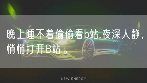 晚上睡不着偷偷看b站,夜深人静,悄悄打开B站。