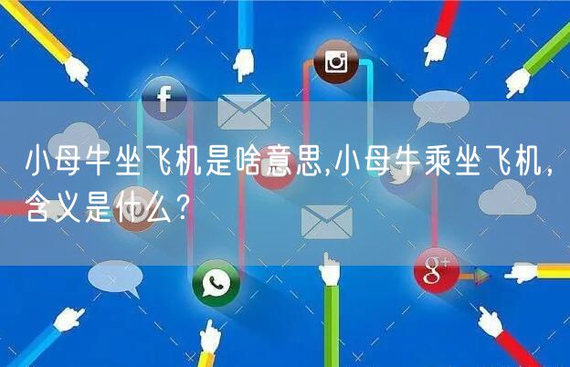 小母牛坐飞机是啥意思,小母牛乘坐飞机，含义是什么？