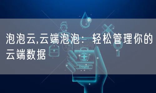 泡泡云,云端泡泡:轻松管理你的云端数据