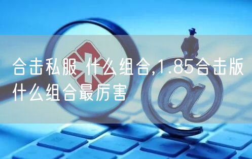 合击私服 什么组合,1.85合击版什么组合最厉害