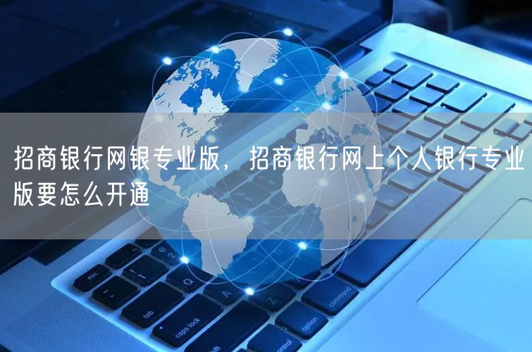 招商银行网银专业版，招商银行网上个人银行专业版要怎么开通