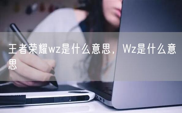 王者荣耀wz是什么意思，Wz是什么意思