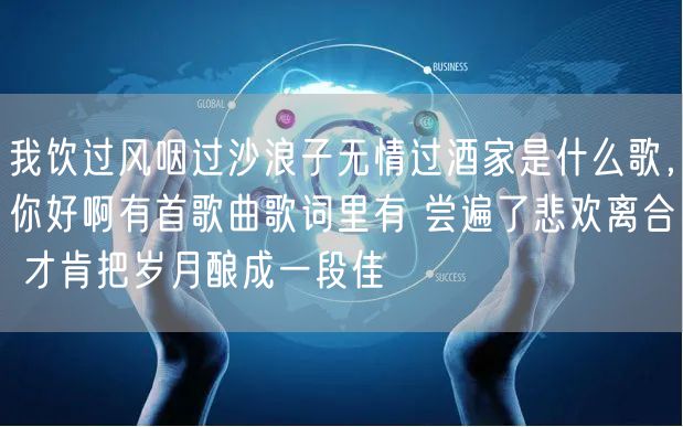 我饮过风咽过沙浪子无情过酒家是什么歌，你好啊有首歌曲歌词里有 尝遍了悲欢离合 才肯把岁月酿成一段佳