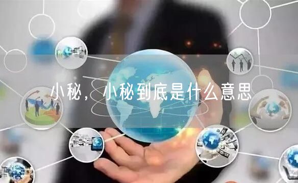 小秘,小秘到底是什么意思