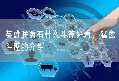 英雄联盟有什么斗篷好看,猛禽斗篷的介绍