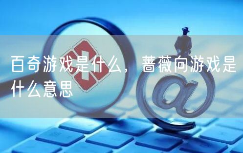 百奇游戏是什么,蔷薇向游戏是什么意思