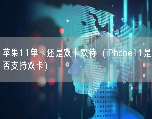 苹果11单卡还是双卡双待（iPhone11是否支持双卡）