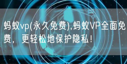 蚂蚁vp(永久免费),蚂蚁VP全面免费，更轻松地保护隐私！