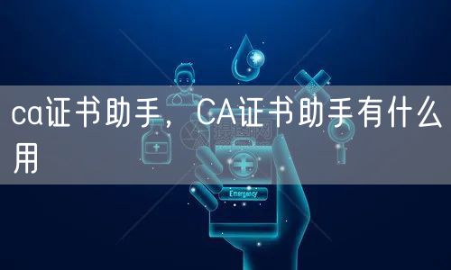 ca证书助手，CA证书助手有什么用