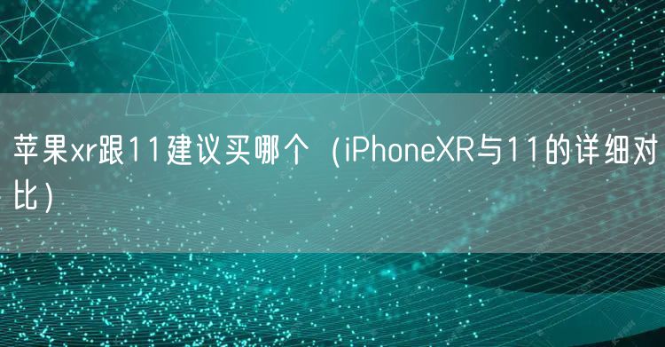 苹果xr跟11建议买哪个（iPhoneXR与11的详细对比）
