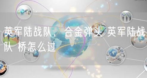英军陆战队,合金弹头 英军陆战队 桥怎么过