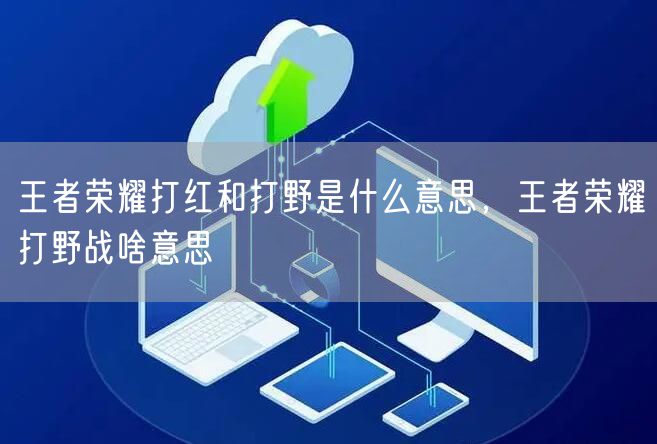 王者荣耀打红和打野是什么意思,王者荣耀打野战啥意思
