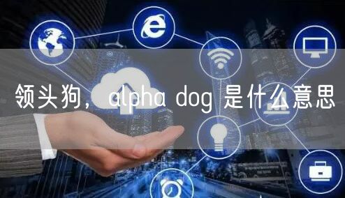 领头狗,alpha dog 是什么意思