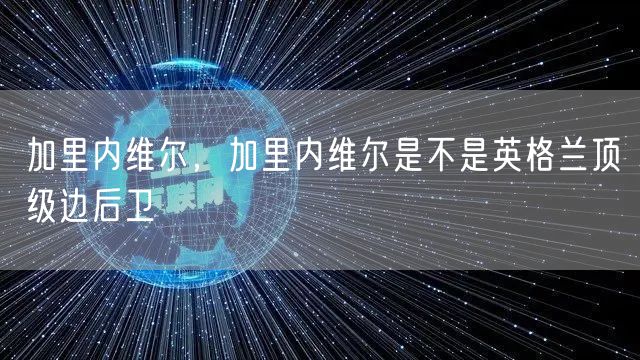 加里内维尔，加里内维尔是不是英格兰顶级边后卫