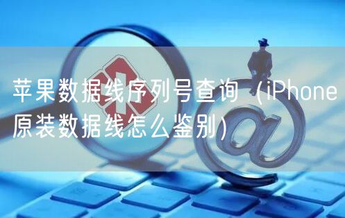 苹果数据线序列号查询(iPhone原装数据线怎么鉴别)