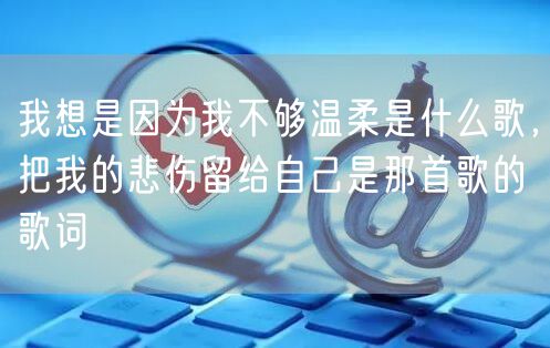 我想是因为我不够温柔是什么歌，把我的悲伤留给自己是那首歌的歌词