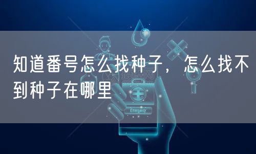 知道番号怎么找种子,怎么找不到种子在哪里
