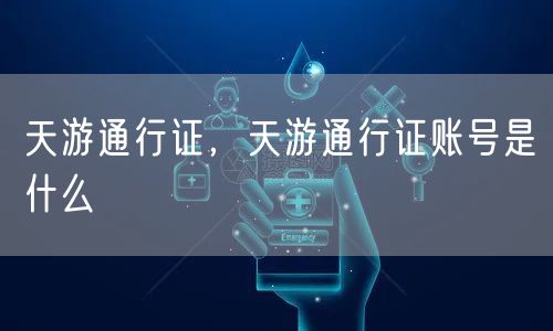 天游通行证,天游通行证账号是什么