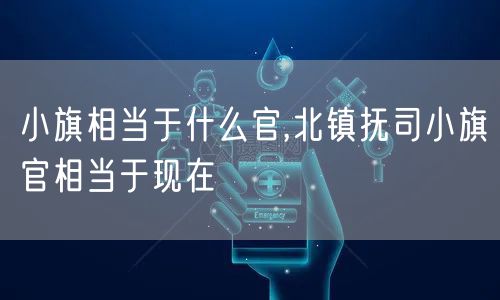 小旗相当于什么官,北镇抚司小旗官相当于现在