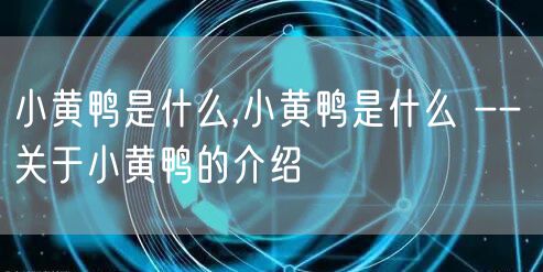 小黄鸭是什么,小黄鸭是什么 -- 关于小黄鸭的介绍