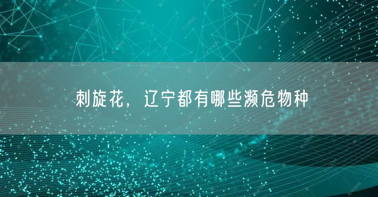 刺旋花,辽宁都有哪些濒危物种